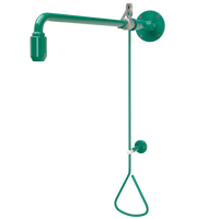 KWC Natrysk ratunkowy do ciała z doprowadzeniem wody ze ściany FAID0007