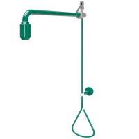 KWC Natrysk ratunkowy do ciała montowany na króćcu rurowym FAID0008