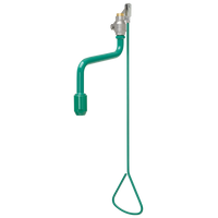 KWC Natrysk ratunkowy do ciała montowany do sufitu FAID0009